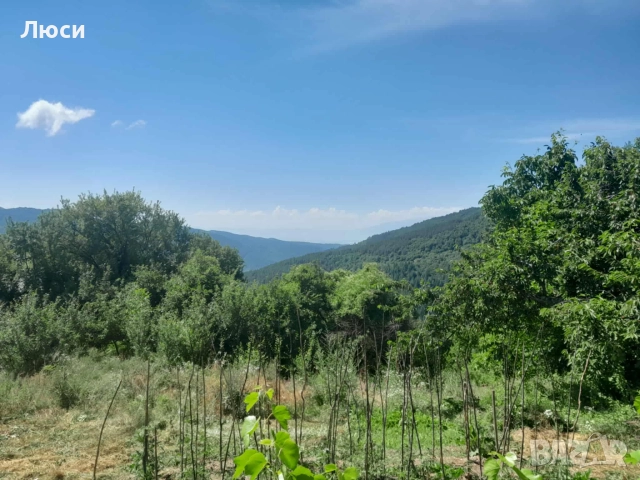 Продавам парцел с къща, снимка 10 - Вили - 52443650