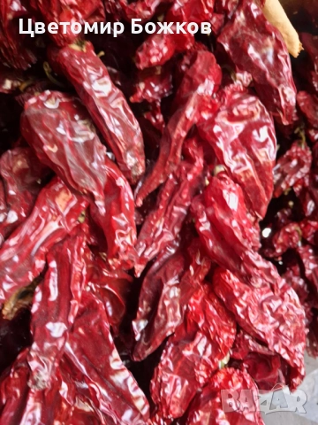 🌶️ Домашни сушени червени чушки – истински вкус от градината! 🌶️ НА ЕДРО!!!, снимка 13 - Домашни продукти - 52280937