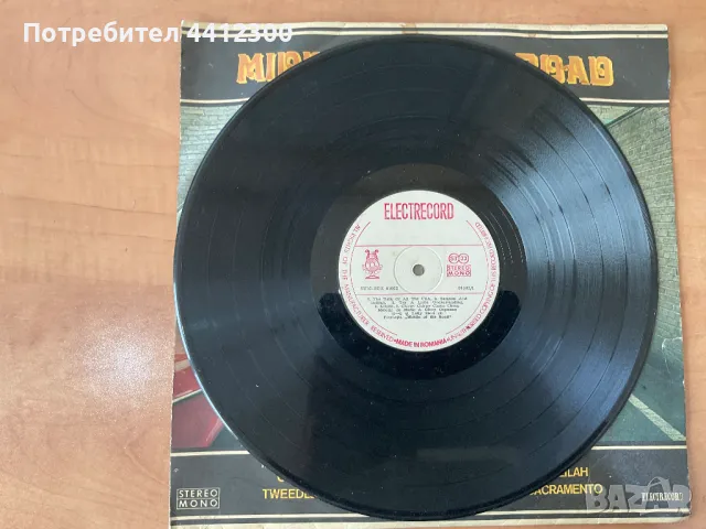 Грамофонна плоча 12'', снимка 3 - Грамофонни плочи - 49703891