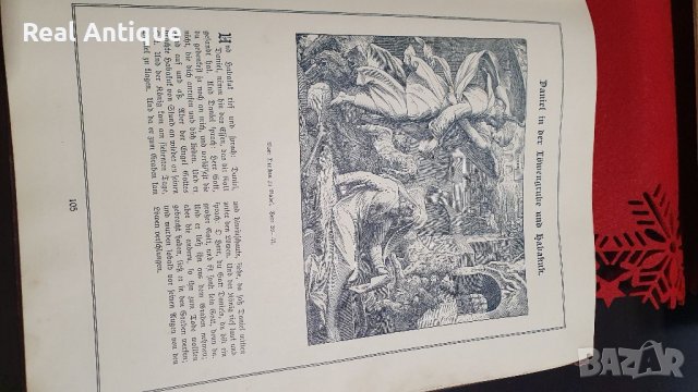 Прекрасна антикварна немска картинна библия , снимка 11 - Антикварни и старинни предмети - 39105262