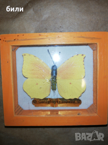 Сувенир , снимка 1