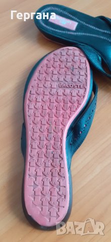 Чехли Lacoste № 39, снимка 3 - Чехли - 40615781