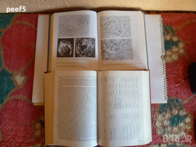Ръководство по Вътрешни болести, снимка 4 - Специализирана литература - 36356930