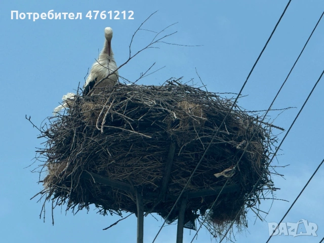 Парцел в с. Сандрово, снимка 6 - Парцели - 53785481