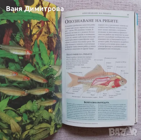 Всичко за аквариума , снимка 3 - Други - 55792822