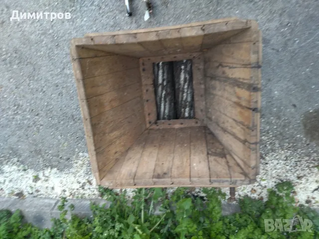 Гроздомелачка, снимка 1