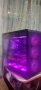 Продавам Супер Гейм PC Ryzen 5 9600X/32Gb/1TB SSD/RTX 3080 10Gb/WiFi&BT/Гаранция, снимка 5