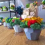 Декорации със скандинавски мъх за първия учебен ден, снимка 3
