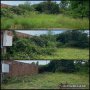  косене на трева,  поддържане на дворове,  премахване на храсти, снимка 12