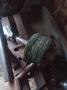 Дърводелски струг с оборудване, снимка 4