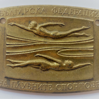 Награден знак Турнир по плуване Варна 1967, снимка 1 - Антикварни и старинни предмети - 36159444