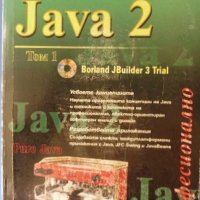 JAVA 2 – Професионално, Том I, Майкъл Морган, за професионални програмисти, снимка 1 - Специализирана литература - 35707746