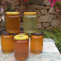 Билков мед реколта 2023г, снимка 3 - Пчелни продукти - 41865155