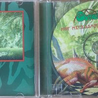 Оригинален: Steve Howe - Not Necessarily Acoustic 1994, снимка 2 - CD дискове - 41851306