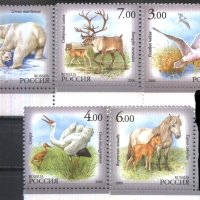 Чисти марки Фауна Птици Мечки Елени Коне 2006 от Русия, снимка 1 - Филателия - 42147644