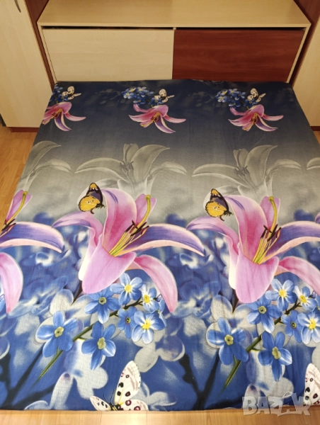 Спалня,ракла и матрак, снимка 1