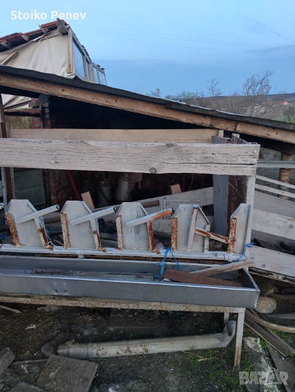 Капан за доене на овце, снимка 1