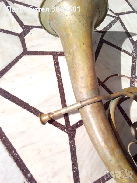 БАСФЛИГОРНА, снимка 1