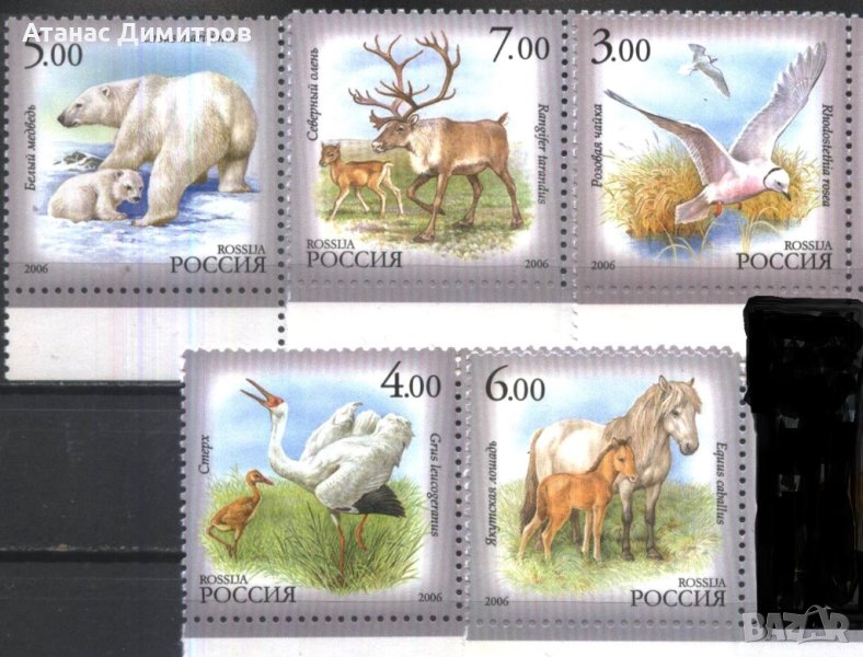 Чисти марки Фауна Птици Мечки Елени Коне 2006 от Русия, снимка 1
