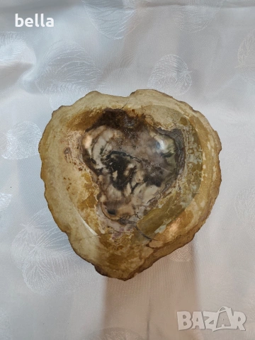 Антикварен съд от вкаменено дърво Материал: Естествен фосил 2 кг
