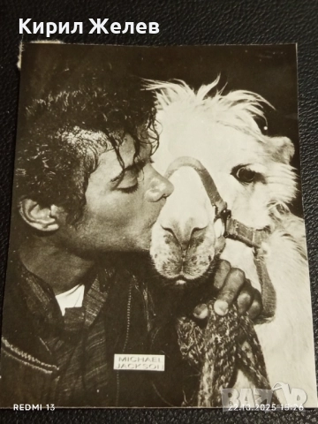 Стара рядка снимка картичка на ПОП ИКОНАТА Michael Jackson рядка за КОЛЕКЦИЯ 51168, снимка 5 - Колекции - 52143676