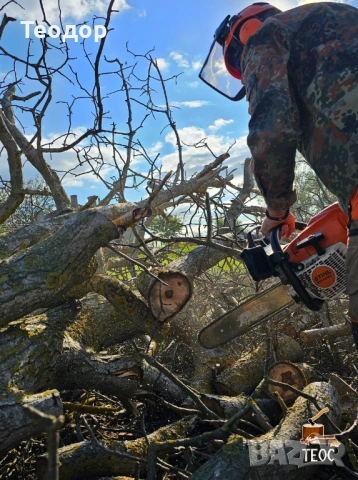 Рязане на опасни дървета и почистване на дворове – Варна, снимка 4 - Хамалски услуги - 53670302