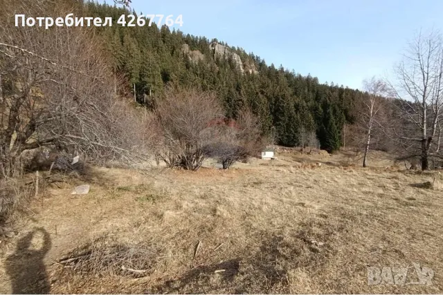 Поземлен имот в Езерово, снимка 2 - Парцели - 50132572