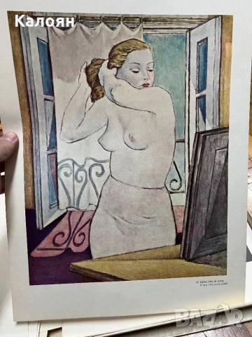 Голям албум Национална художествена галерия , снимка 7 - Антикварни и старинни предмети - 52202333