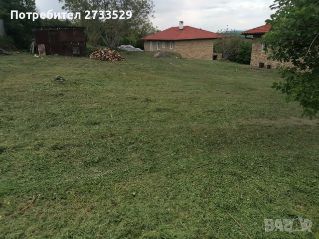 Косене на тревни площи , рязане и подръжка на дървета, снимка 2 - Други услуги - 40379100