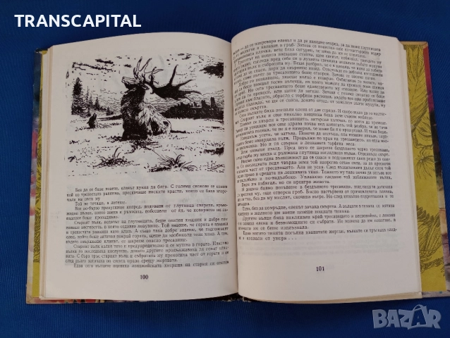 Петър Славински , снимка 6 - Други - 52464740