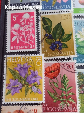 Пощенски марки серия ЦВЕТЯ поща България, Югославия редки за КОЛЕКЦИЯ 22659, снимка 3 - Филателия - 40316538