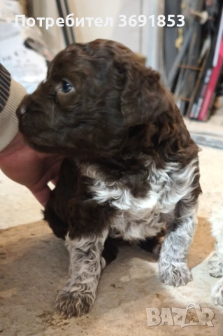 Лагото Романьоло, снимка 6 - Други - 53235315