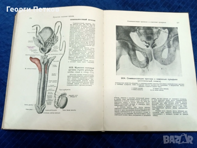 Атлас анатомии человека., снимка 8 - Специализирана литература - 53069358