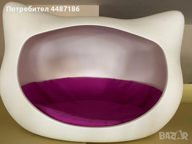 Легло котешка глава