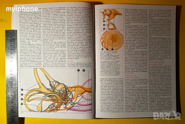 Стара Книга Обща медецина и Хирургия Ръководство за Хигиена, снимка 10 - Специализирана литература - 49429113