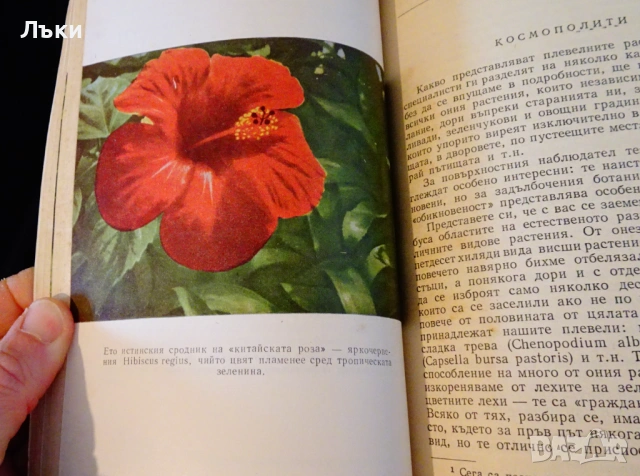 Занимателна ботаника,А.В.Цингер. , снимка 2 - Други - 53204134