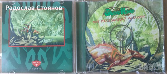 Оригинален: Steve Howe - Not Necessarily Acoustic 1994, снимка 2 - CD дискове - 41851306