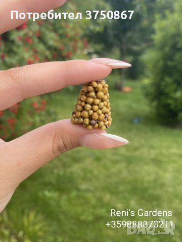 Осмокот таблети , снимка 3 - Тор и почвени смеси - 41082871