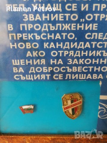 Отрядник - ЗНАЧКИ, снимка 1