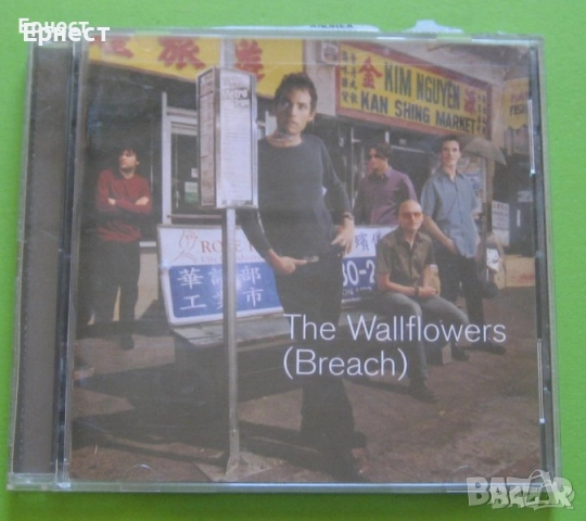 Инди, алтернатив рок щатски дискове, снимка 18 - CD дискове - 31910011