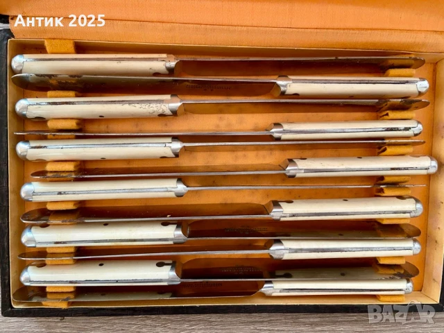 Винтидж англиски комплект от 12 ножа за маса с дръжки от естествена кост в оригинален калъф