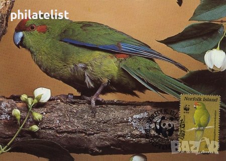 Норфолк 1987 - 4 броя Карти Максимум - WWF, снимка 4 - Филателия - 38788482