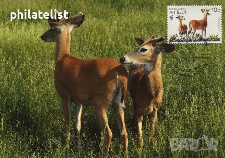 Холандски Антили 1992 - 4 броя Карти Максимум - WWF, снимка 3 - Филателия - 38897075