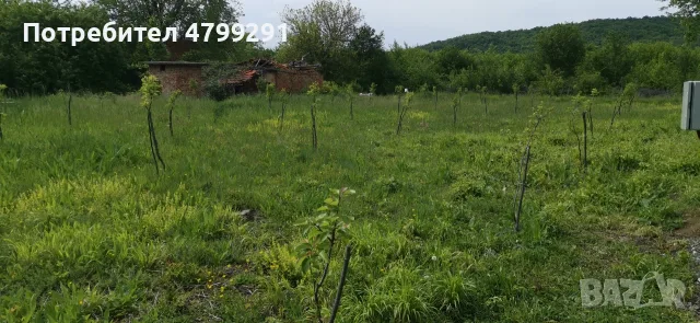 ПРОДАВА УПИ 737 КВ-БАТУЛЦИ, снимка 7 - Парцели - 56144646