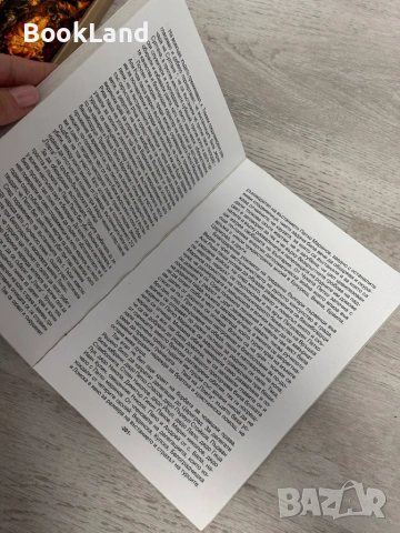 Принос към историята на с. Грамада (Кулска околия), снимка 6 - Художествена литература - 53390966