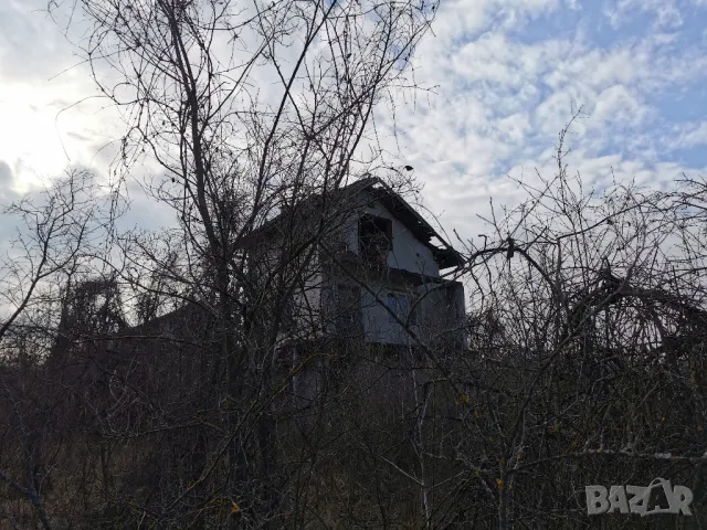 7  декара и 2 вили в Садовете гр.Лом, снимка 15 - Вили - 48773745