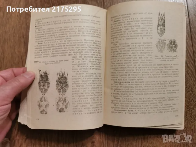Наръчник на ловеца и риболовеца-Земиздат 1974г., снимка 8 - Специализирана литература - 49699300