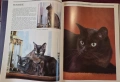 Енциклопедия на котките / The Encyclopedia of Cats, снимка 4
