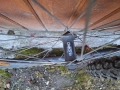 Капли 26 с гуми, снимка 2