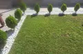 Бели декоративни камъчета , снимка 13